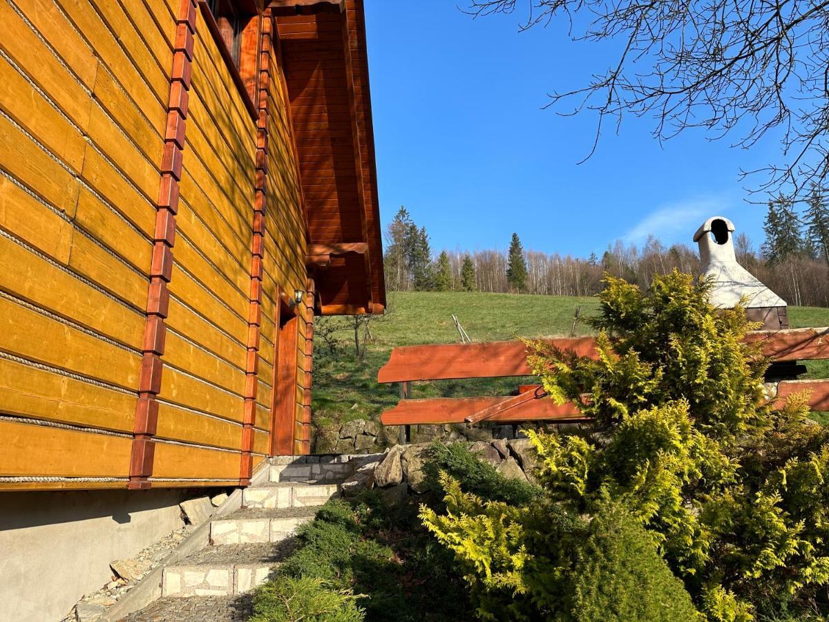 Willa Larysa Agro Wisła Buitenkant foto